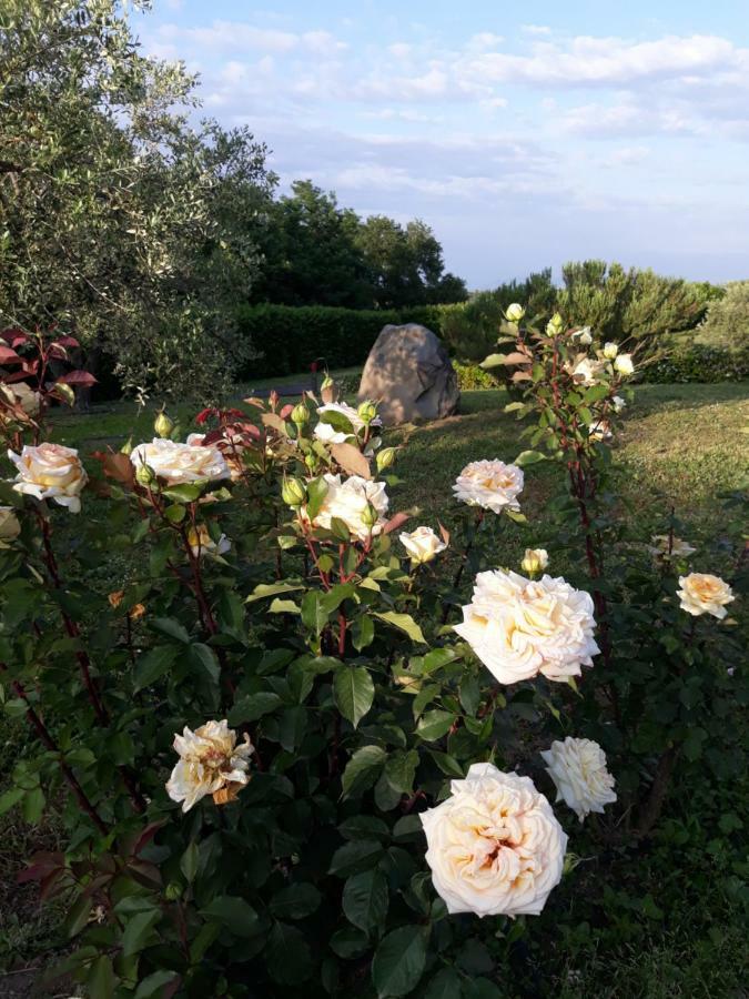 L'Orto Sul Poggio Sutri Exterior foto